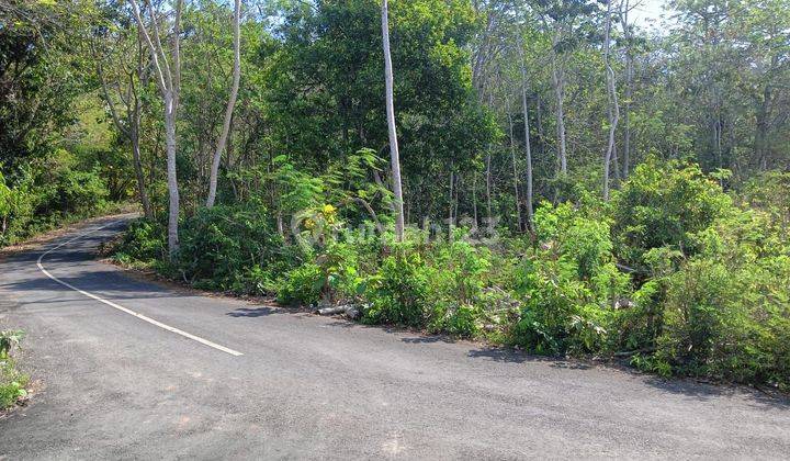 Land for Rent 500 m² Sea View SHM In Labuan Sait Pecatu 1