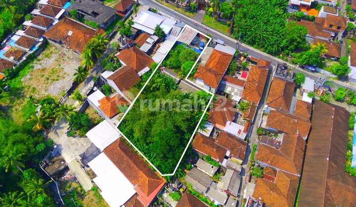 Dijual Murah Tanah 10 Are Di Pusat Kota Tabanan