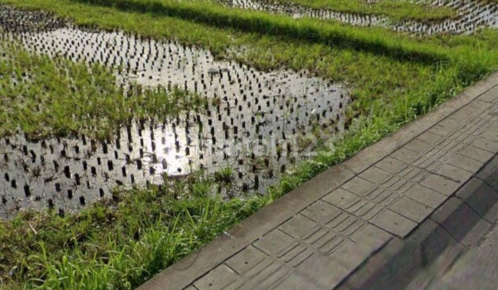 Leased Land in Tibubeneng, Area 2400m2, Near Several Beach Clubs and Berawa Beach. Leased Land in Tibubeneng, Area 2400m2, Near Several Beach Clubs and Berawa Beach.