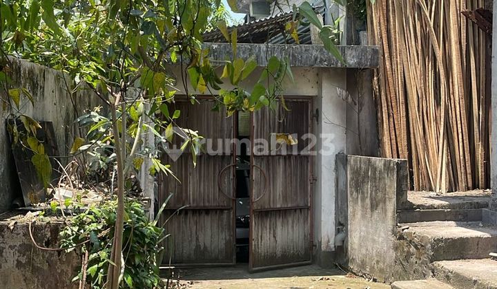 Tanah 290.0 M² Plus Bangunan Di Lingkungan Vila Munggu Dk Tanah 290.0 M² Plus Bangunan Di Lingkungan Vila Munggu Dk