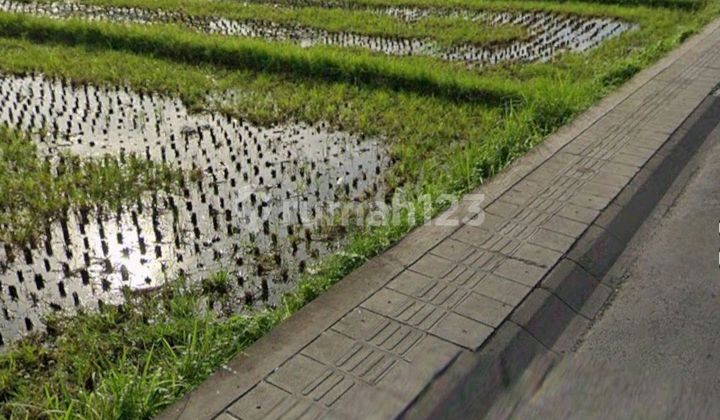 Tanah Sewa Tibubeneng Luas 2400m2 Dekat Beberapa Beach Club Dan Pantai Berawa