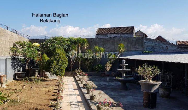 Dijual Cepat Ruko 3 Lantai Di Jl Surapati Singaraja Buleleng Bali 2