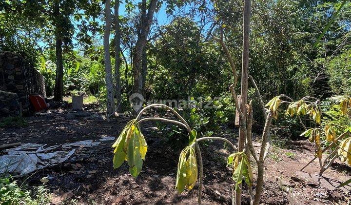 Buc Dijual Tanah 5are Zona Kuning 2 Km Ke Pantai Kedungu Dan 2