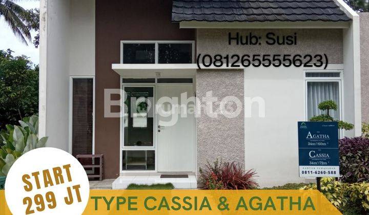 SAVANNA SUMATERA TYPE CASSIA & AGATHA 2