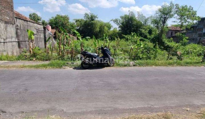 TANAH MURAH COCOK UNTUK HUNIAN & INVESTASI DI BERBAH SLEMAN 1