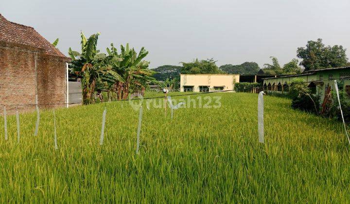 TANAH DI  RINGROAD SELATAN LINGKUNGAN DEKAT KAMPUS & PESANTREN 2