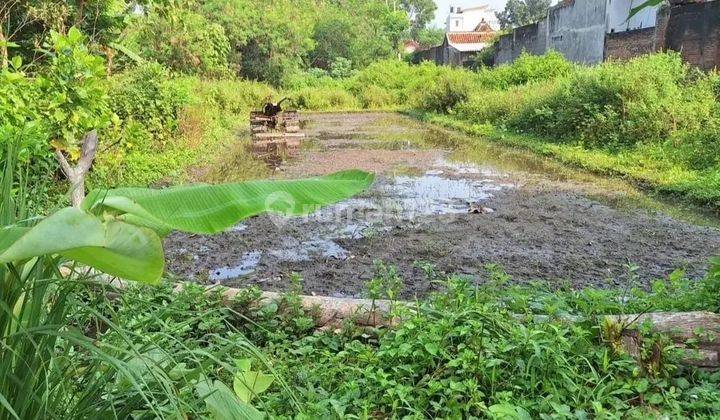 TANAH LUAS SIAP UNTUK HUNIAN SEGERA AMAN KAN BOS 2