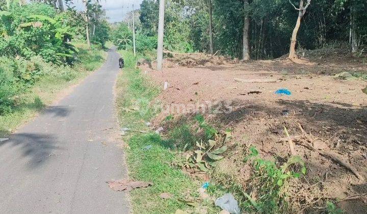 KAVLINGAN DI MINGGIR SLEMAN ADA 3 KAVLING SIAP DI AMANKAN 1