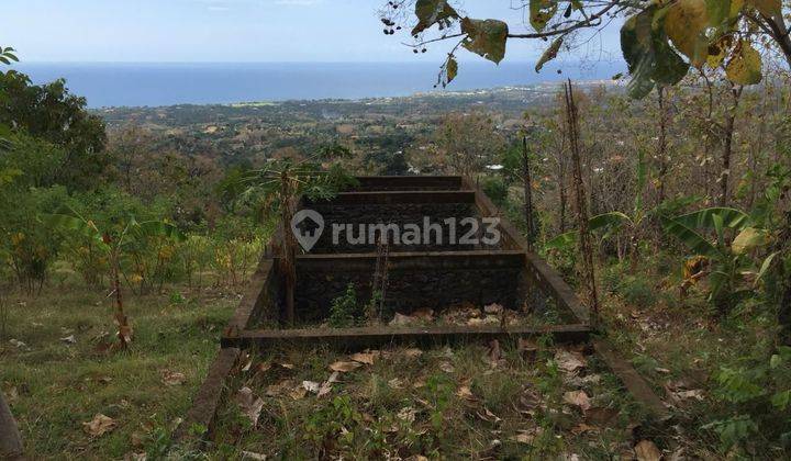 Land For Sale In Buleleng Bali View Lovina Beach 2