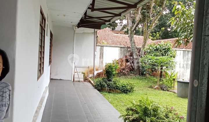 Dago Wing Sold Below Market Price 2