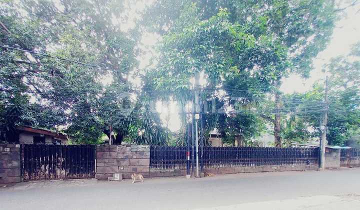 Flood-Free Flood-Free