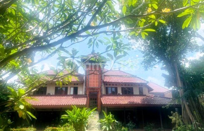 Rumah Bagus Nyaman dan Strategis di Bali View Cirendeu Rumah Bagus Nyaman dan Strategis di Bali View Cirendeu