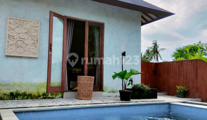 Rent Villa in Ubud IT Rent Villa in Ubud IT