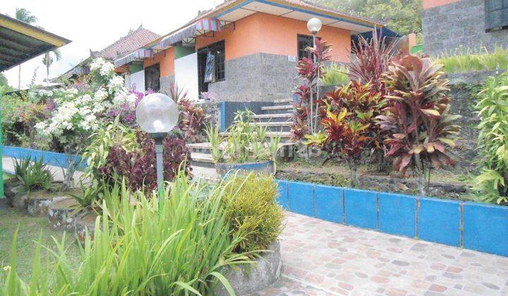 Guest House Di Pupuan Tabanan Lingkungan Asri Db 1