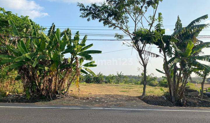 Land For Sale At Banyoe Biroe Bypass Gilimanuk Dd 2