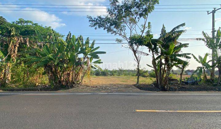 Land For Sale At Banyoe Biroe Bypass Gilimanuk Dd 1