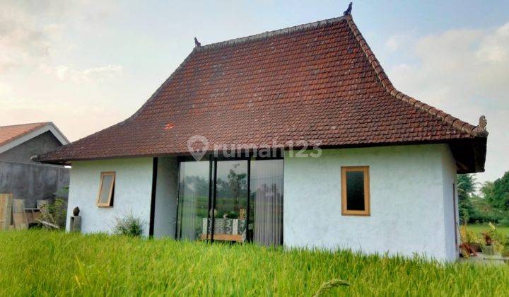 Villa With The Most Beautiful View Of The Rice Fields In Ubud It 1