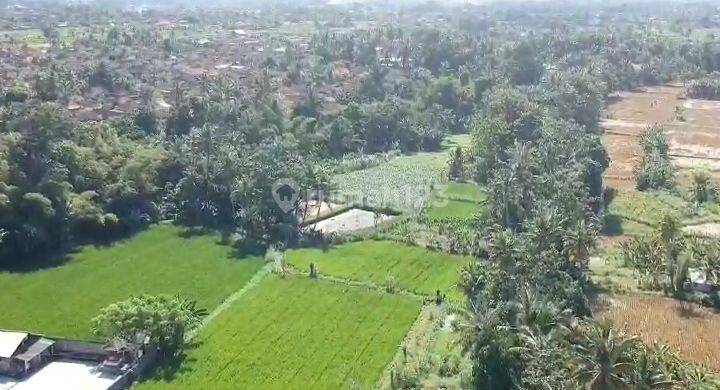 50 Are Strategic Land in Saba Gianyar Db 2