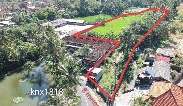 50 Are Strategic Land in Saba Gianyar Db 1