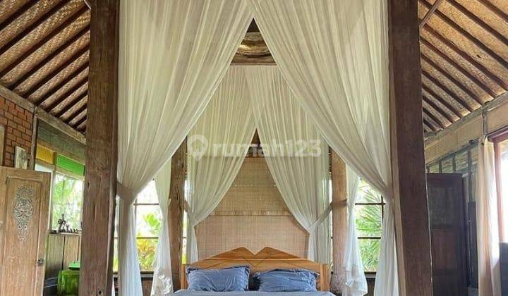 Villa 1 BR In Sayan Ubud View Rice Fields It 1