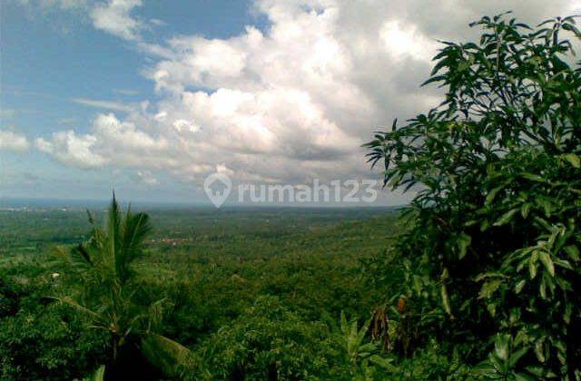 Large Land Near Lovina Buleleng Sea View It 1