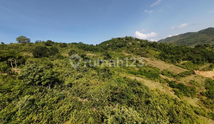 Tanah 2 Ha SHM di Tumpak Lombok Tengah – Harga 35 Jt/Are, Cocok Investasi LA Tanah 2 Ha SHM di Tumpak Lombok Tengah – Harga 35 Jt/Are, Cocok Investasi LA