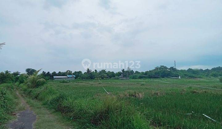 Tanah Kosong View Sawah, Pantai Di Tulikup Gianyar Im 2 2