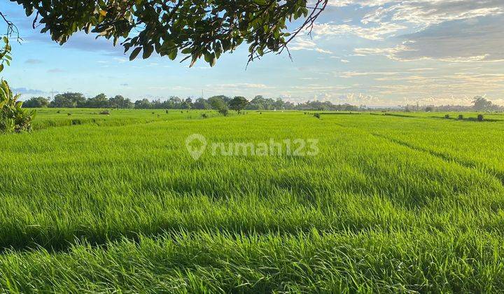 3 Bedroom Villa with Rice Field View in Kedungu Area, Tabanan Dd 2