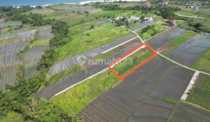 Land In Kedungu Kediri Minimum Rent 29 Years At