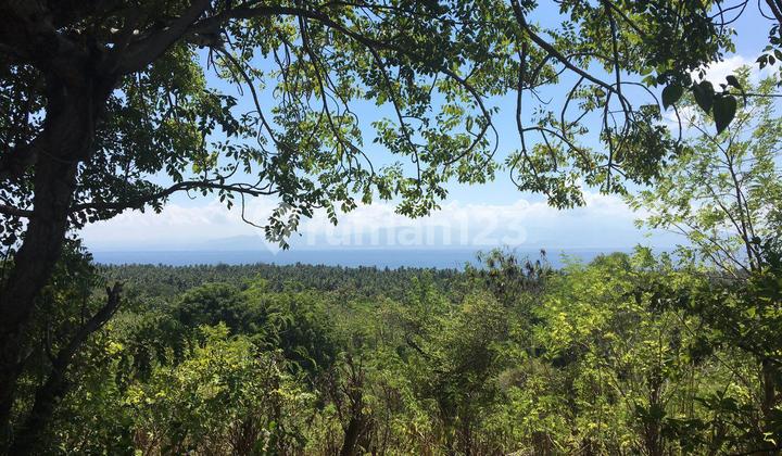 Tanah 1 Hektar View Laut & Sunrise Sunset di Nusa Penida – Harga di Bawah Pasaran! MK