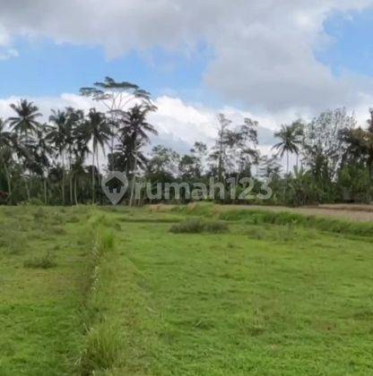 Land For Long Leased 30 Years In Ubud Dd 2