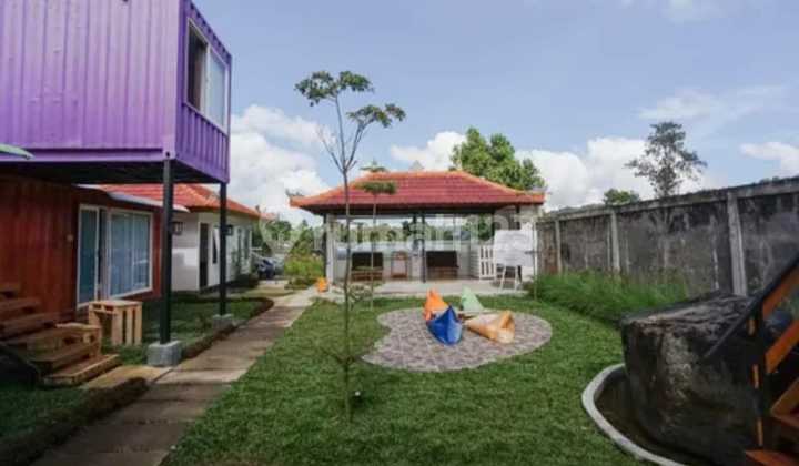 Hospitality Business Ready to Go in Bedugul Hospitality Business Ready to Go in Bedugul