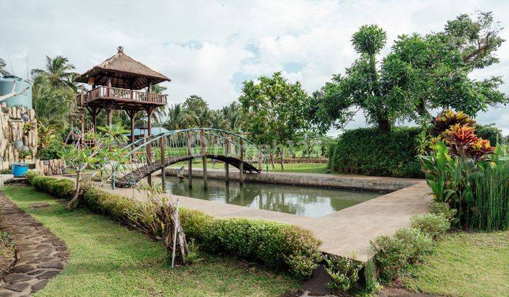 For Sale Villa View Rice Fields Location Tabanan Lc 1