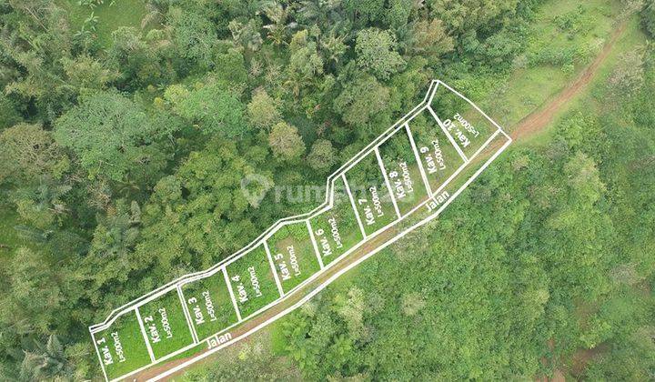 Cheap Land The Throne Land In Penebel Tabanan Rd 1