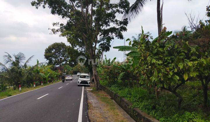 Land In Pupuan Tabanan Strategic Location On The Side Of Jalan Im 1