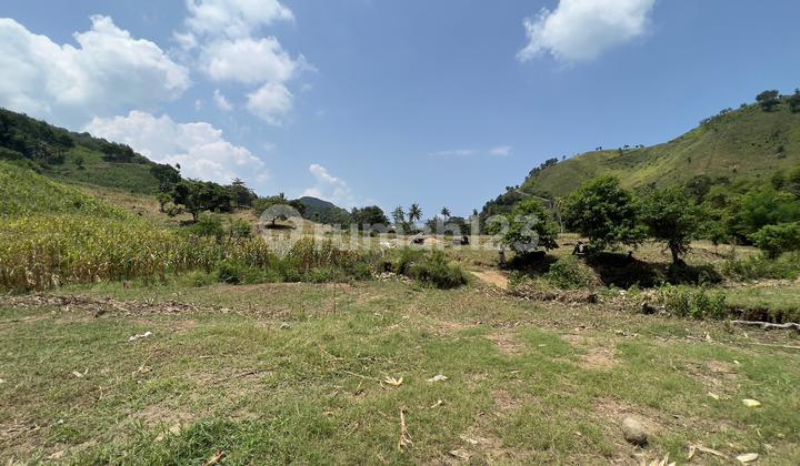 SHM Land 59.36 Ares Affordable Price – Selong Belanak Lombok LA SHM Land 59.36 Ares Affordable Price – Selong Belanak Lombok LA