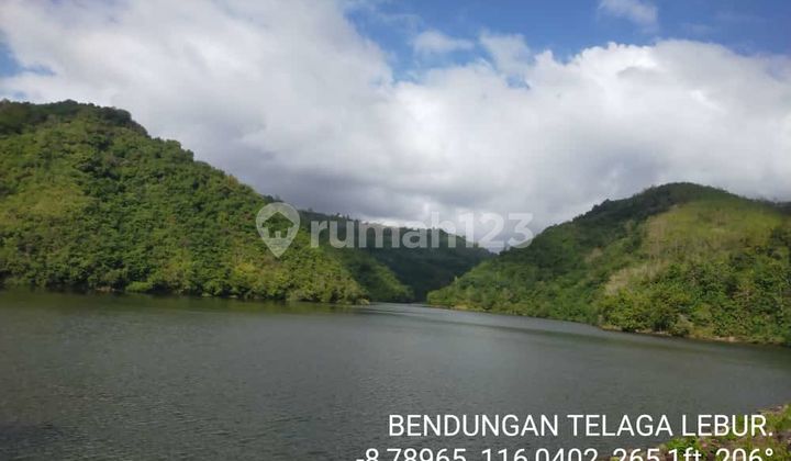 Tanah 199 Are SHM di Sekotong Tengah, Lombok Barat – Dekat Bendungan Telaga (LA)