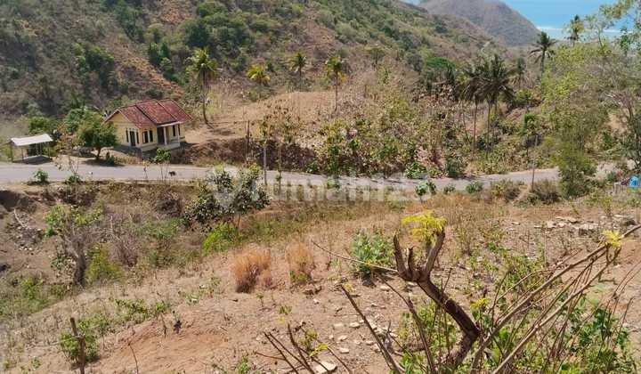 Land of 30 Ares Beside the Main Road – View of Torok Beach, Selong Belanak Lombok LA Land of 30 Ares Beside the Main Road – View of Torok Beach, Selong Belanak Lombok LA
