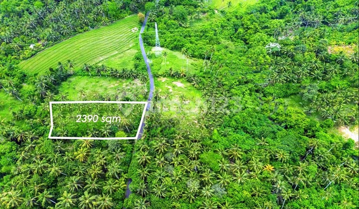 Land Investment in Tabanan (Ipp) Land Investment in Tabanan (Ipp)
