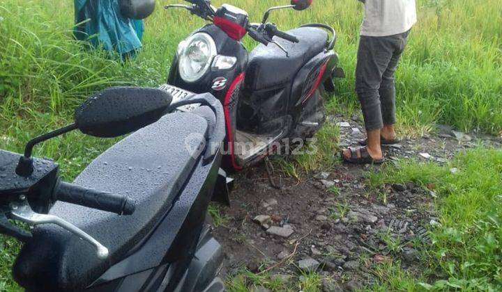 Tanah Kavling Lingkungan Masih Sawah di Sekar Jepun Penatih Denpasar DB 1