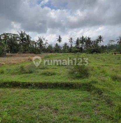 Land For Long Leased 30 Years In Ubud Dd 1