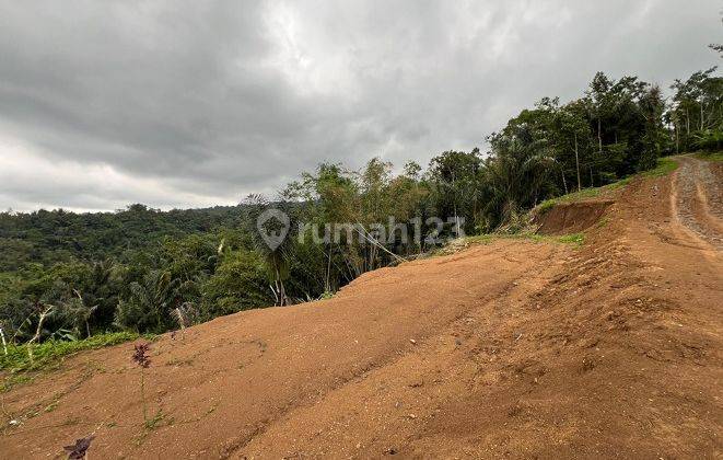 The Throne Land Cluster 2 In Penebel Tabanan Rd 1