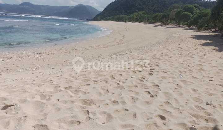 2.6 Ha land with SHM (Hilly & Flat) in Selong Belanak – Suitable for Resort & Villa LA 2.6 Ha land with SHM (Hilly & Flat) in Selong Belanak – Suitable for Resort & Villa LA