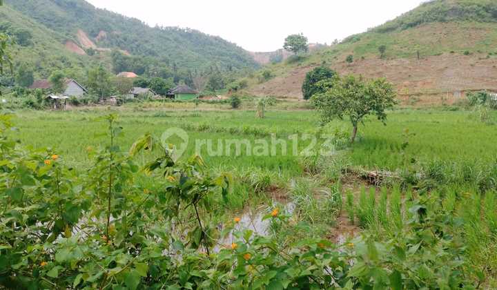 Tanah Strategis Dekat Sirkuit Mandalika, 10 Are Siap Bangun La Tanah Strategis Dekat Sirkuit Mandalika, 10 Are Siap Bangun La