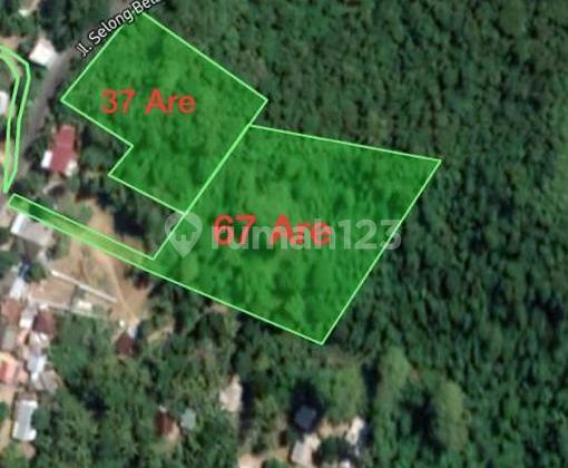 1.4 Ha SHM Land in Selong Belanak Lombok – Ideal for Resort & Investment LA 1.4 Ha SHM Land in Selong Belanak Lombok – Ideal for Resort & Investment LA
