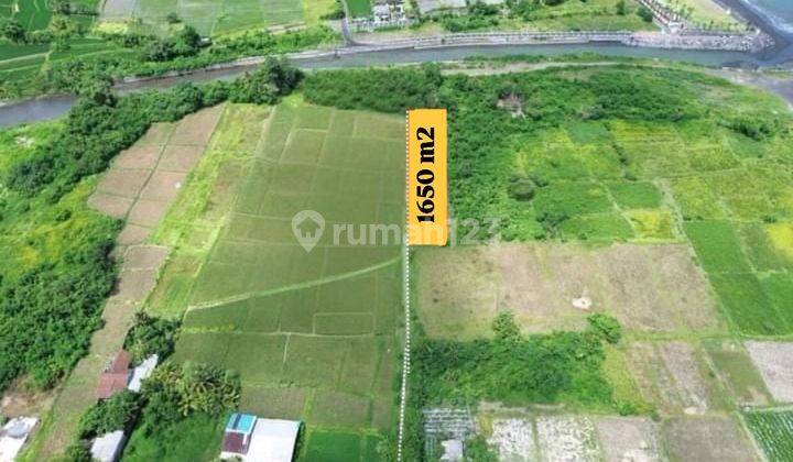 Tanah Kosong View Sawah, Pantai Di Tulikup Gianyar Im 2 1