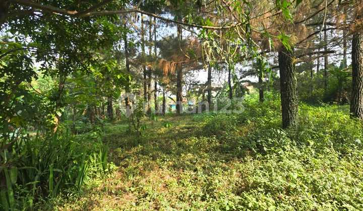 Jual Tanah Padat ******** Atau Perumahan Jual Tanah Padat ******** Atau Perumahan