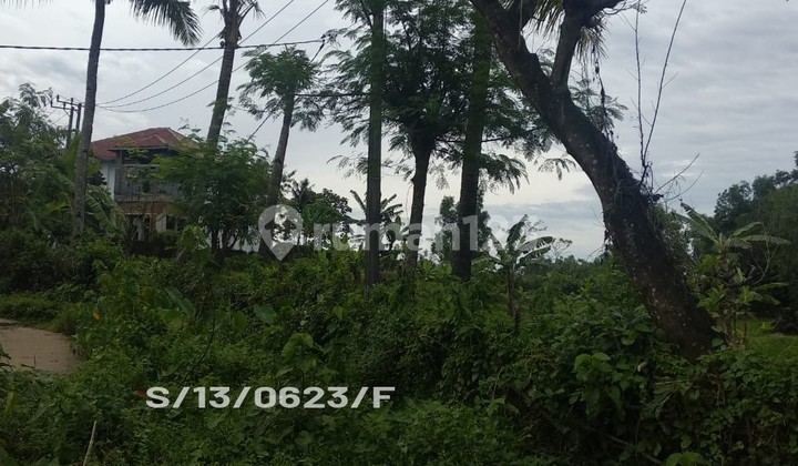 Sell Fast Large Plot Land Bojong Mangu Bekasi Sell Fast Large Plot Land Bojong Mangu Bekasi