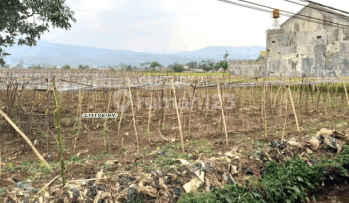 Tanah Luas Bisa Untuk Usaha Lokasi Strategis Di Soreang Bandung Tanah Luas Bisa Untuk Usaha Lokasi Strategis Di Soreang Bandung