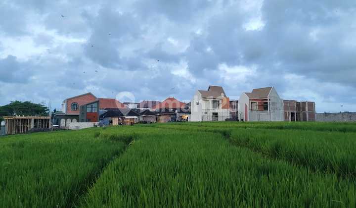 Vila Baru 2 Lantai Di Tabanan Dengan View Sungai.